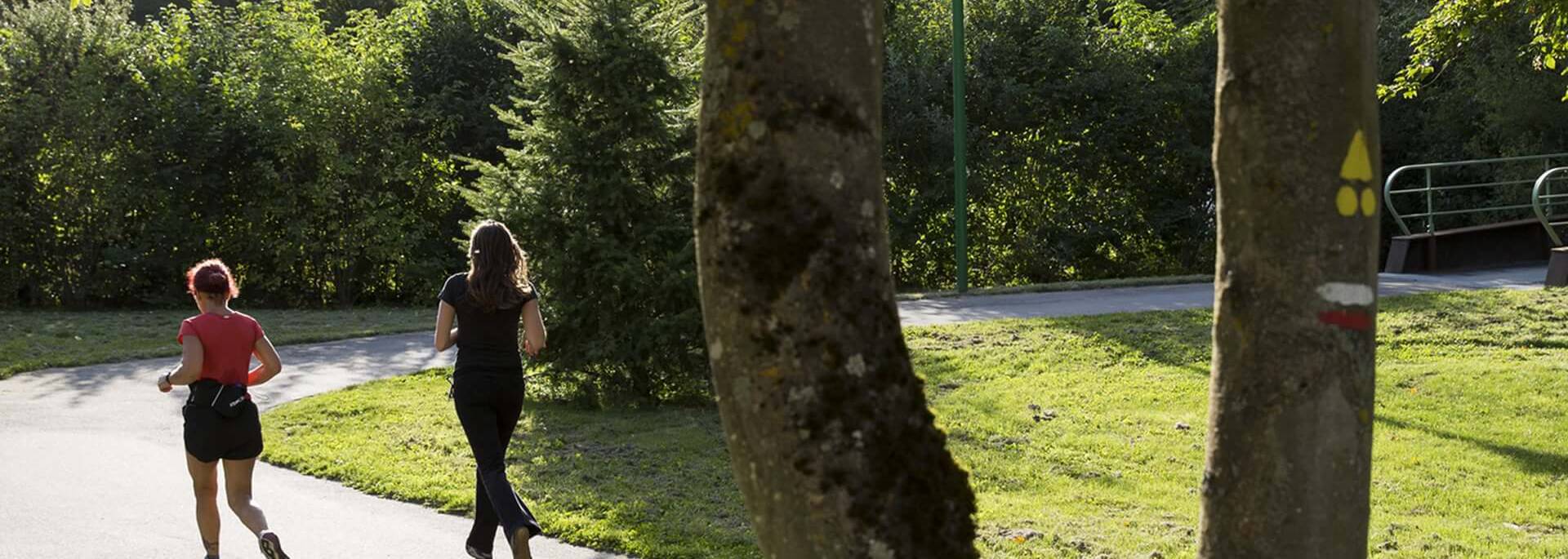 Courir le long des bords de l'Eure sur le plan vert