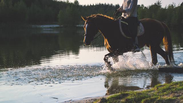 À cheval