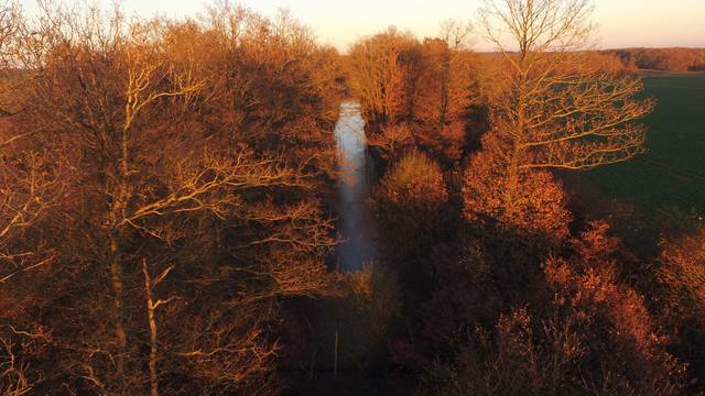 Canal Louis XIV