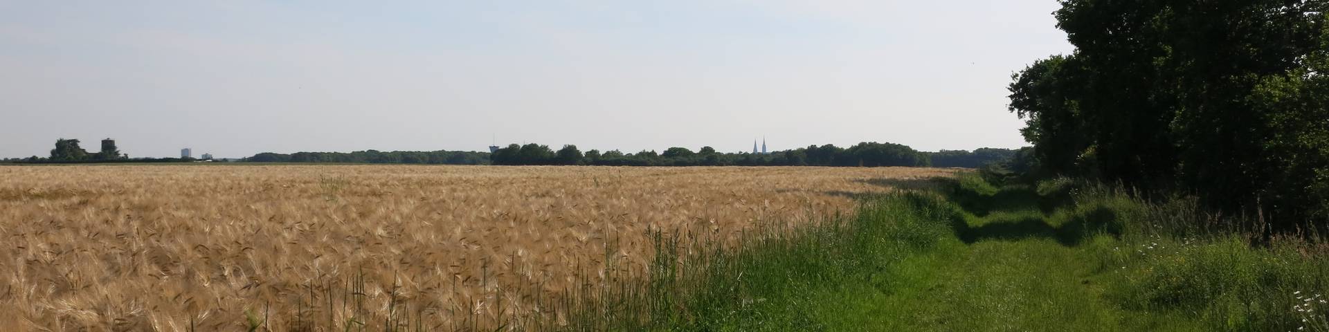 Chemin Charles Péguy